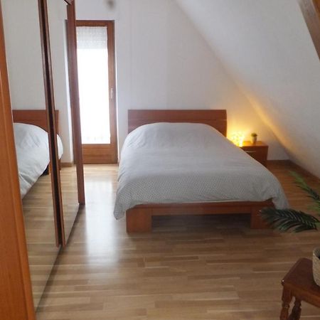 Superbe Appartement En Residence Betschdorf エクステリア 写真