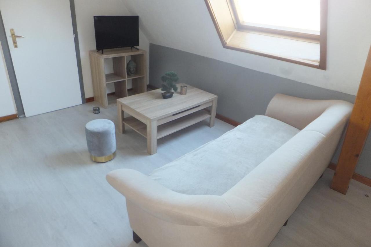 Superbe Appartement En Residence Betschdorf エクステリア 写真